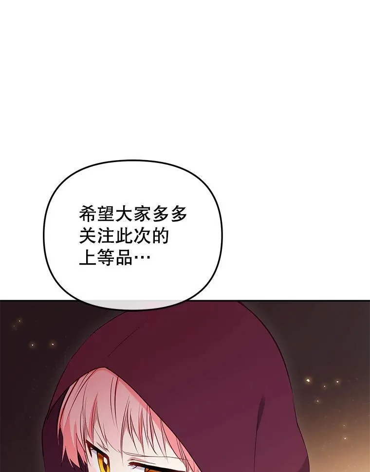 33.逃出拍卖场78