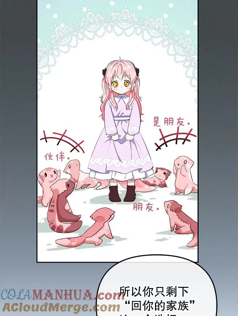 28.特别的提议80