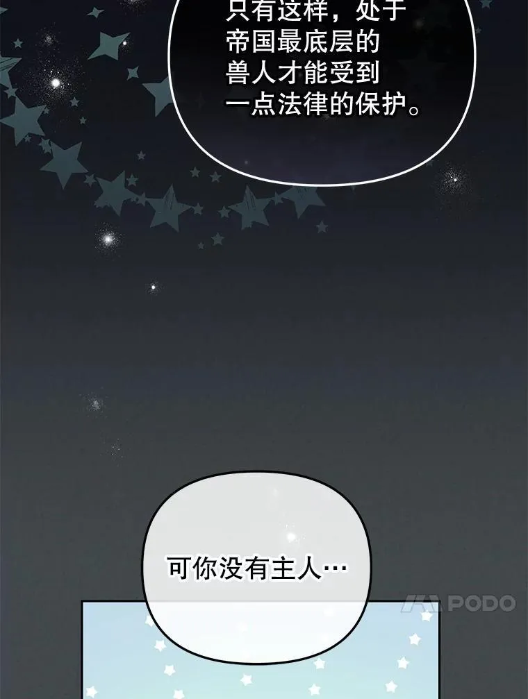 28.特别的提议79