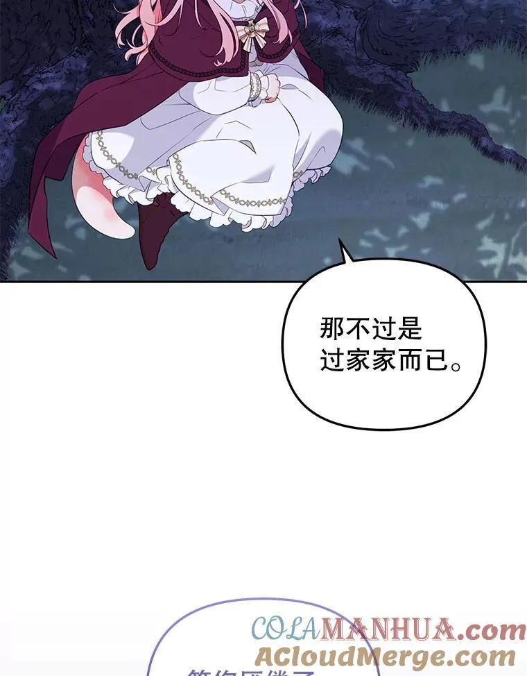 36.少家主之令12