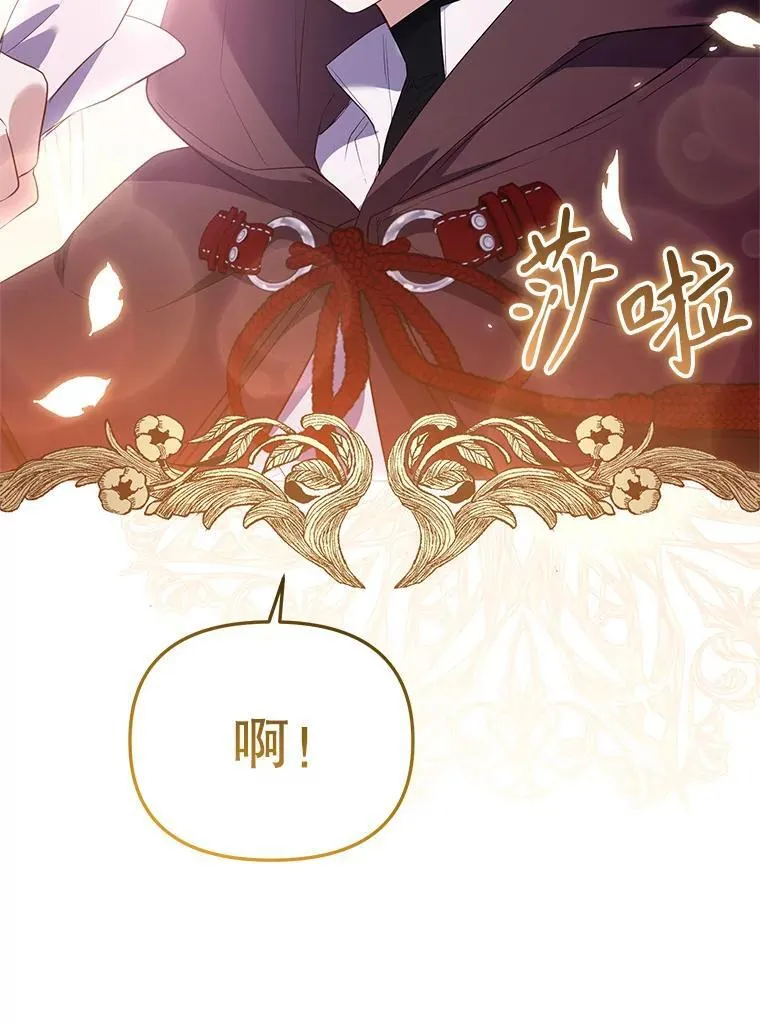 28.特别的提议114