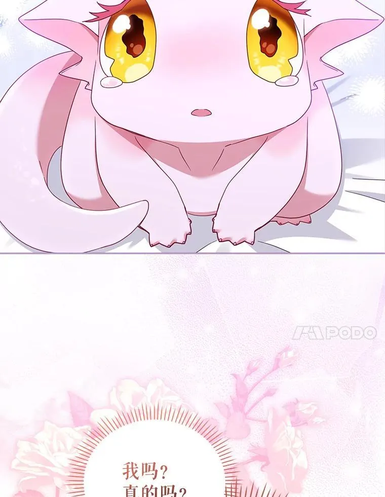 44.大胃王53