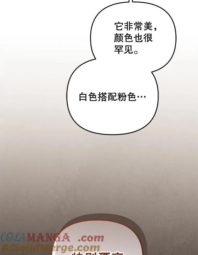 52.假冒52