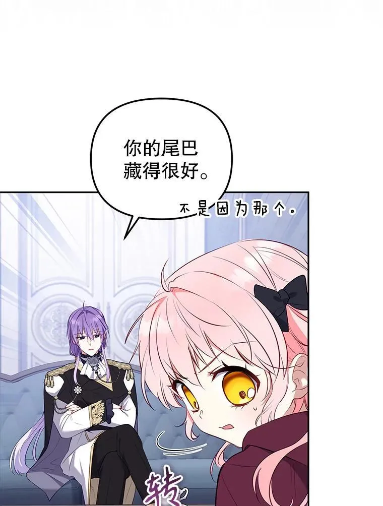 28.特别的提议71