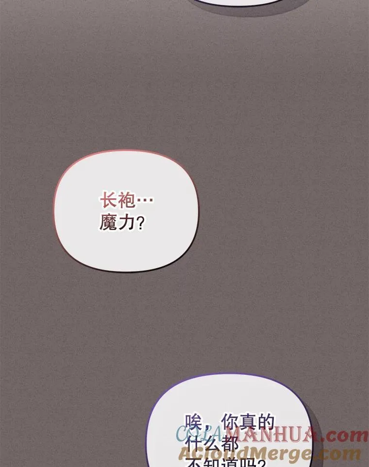 29.散发魔力100
