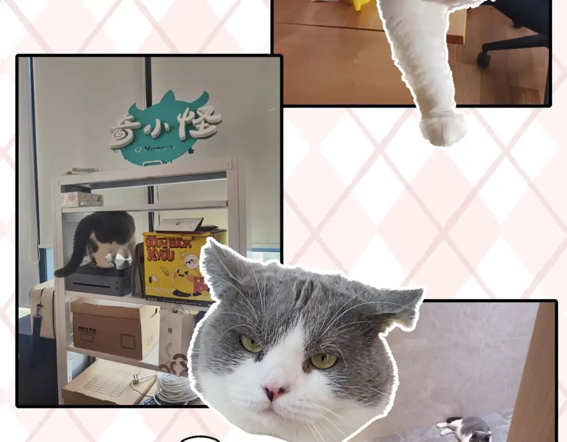 第6期 肝画的日常（日更中）14