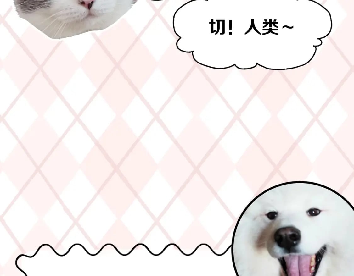 第6期 肝画的日常（日更中）28
