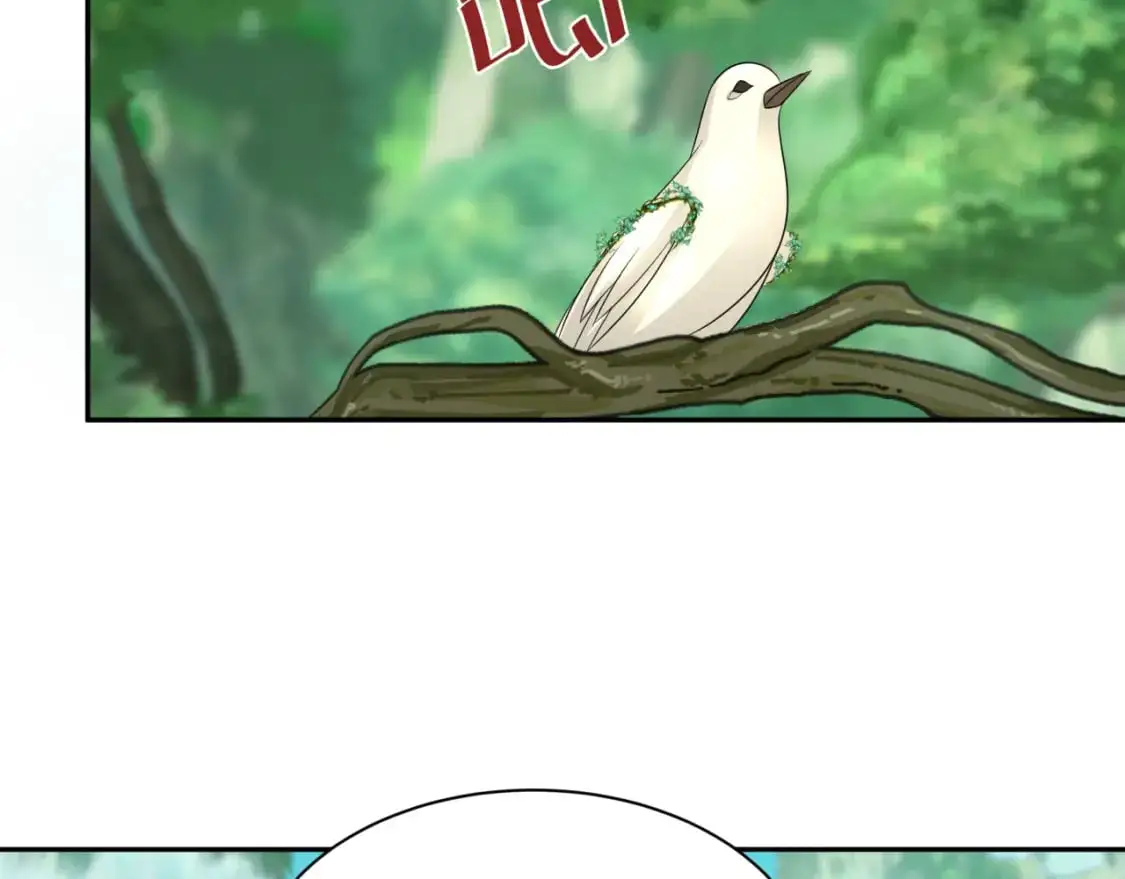 第213话 仙岛探险！5