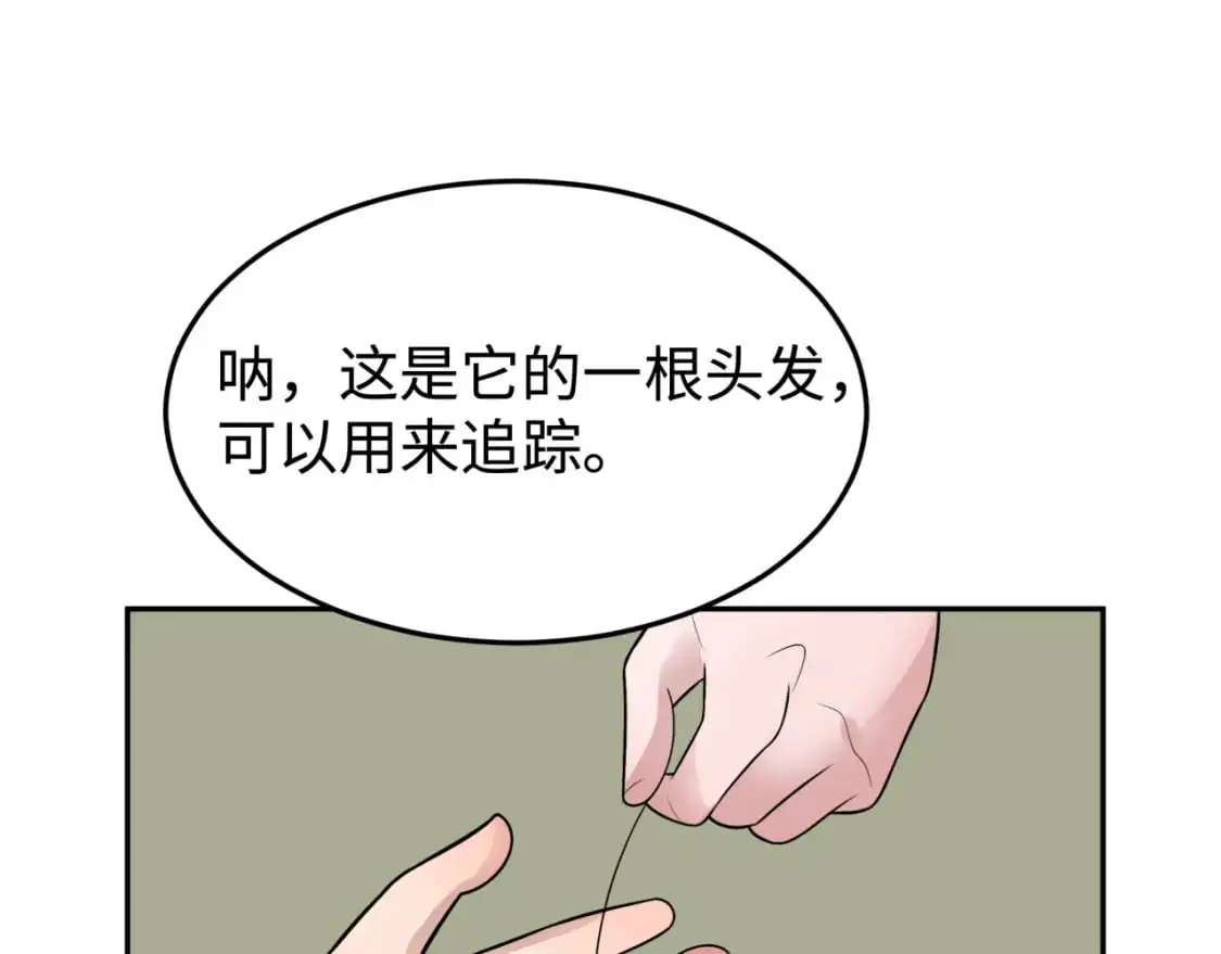 第194话 试探！113