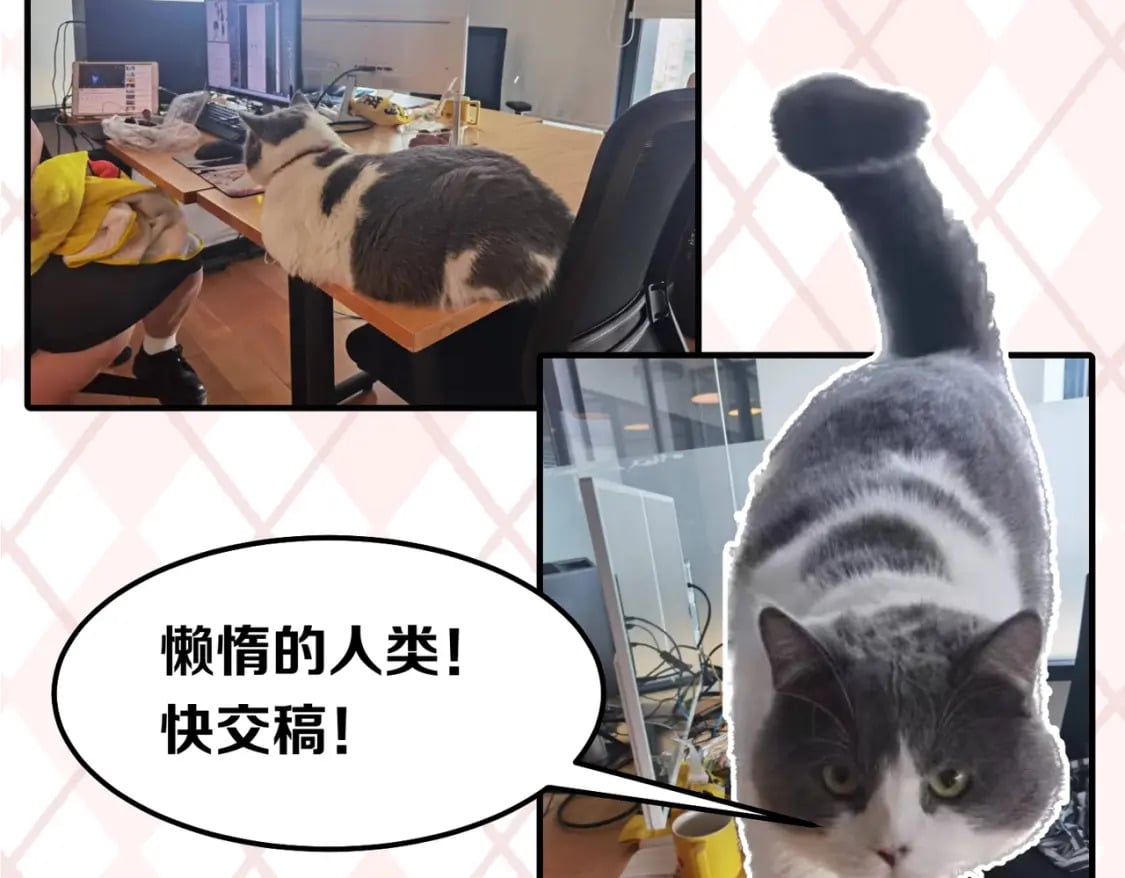 第6期 肝画的日常（日更中）13