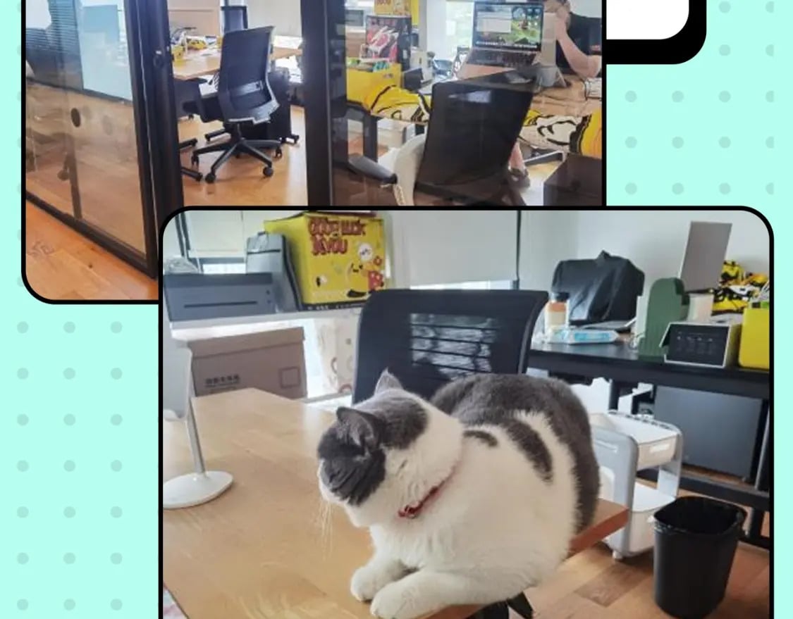 第16期 作者访谈！（日更中）7