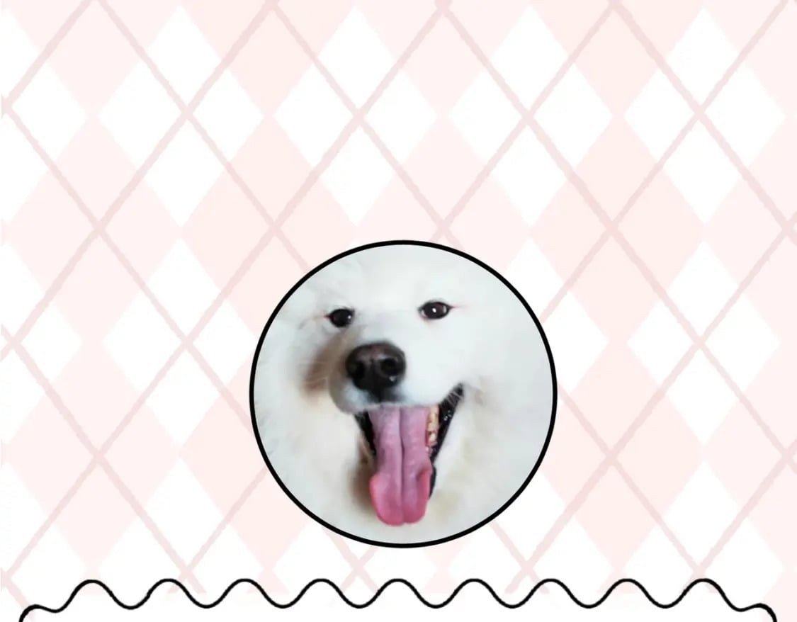第6期 肝画的日常（日更中）39