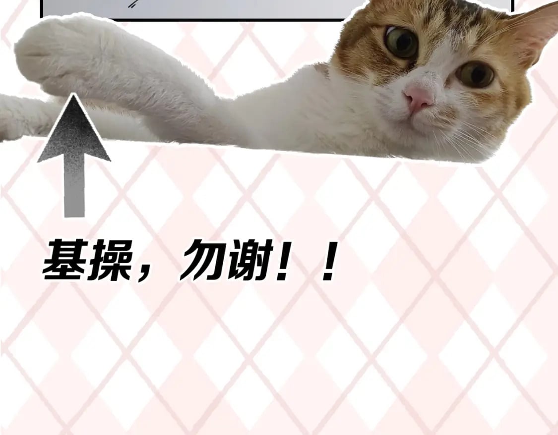 第6期 肝画的日常（日更中）38