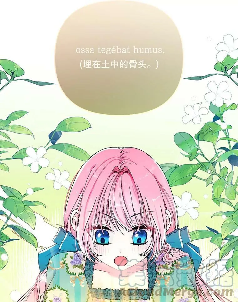 54.风精灵63