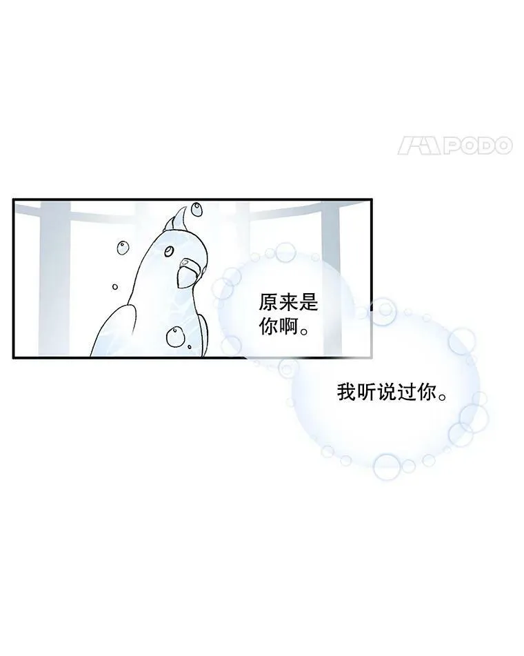 1.预言之女38