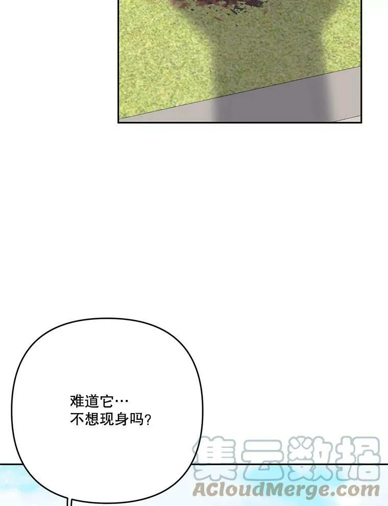 31.召唤精灵12
