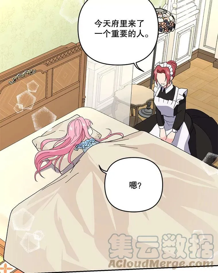 19.公爵府的继承人12