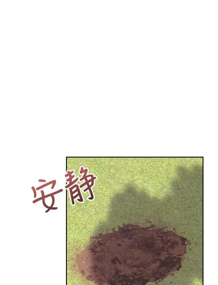 31.召唤精灵11