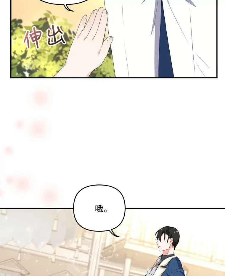 9.棉花软糖16