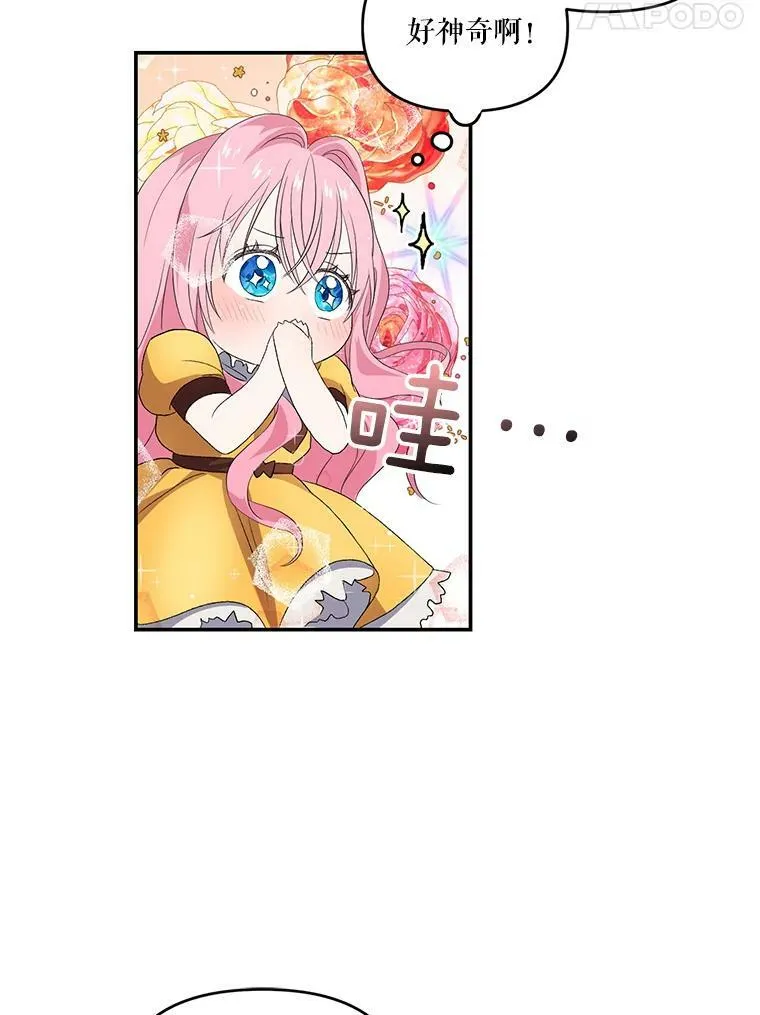 6.护卫44
