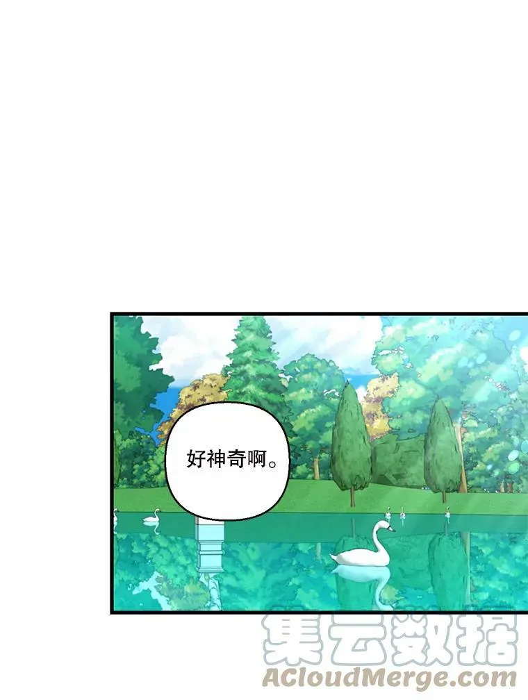 83.被认可33