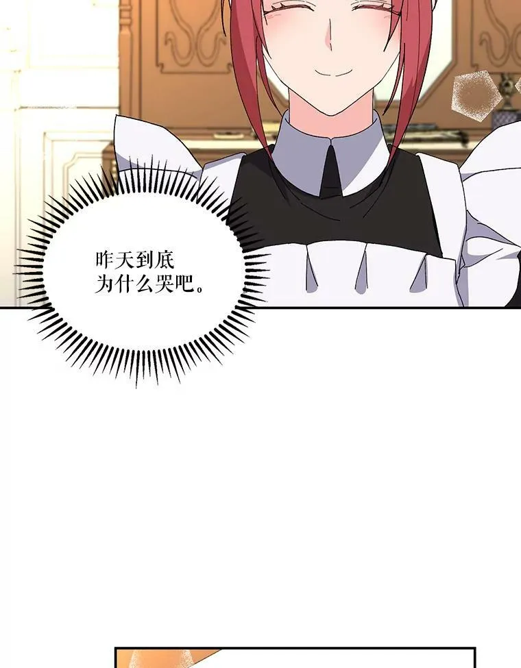 19.公爵府的继承人28