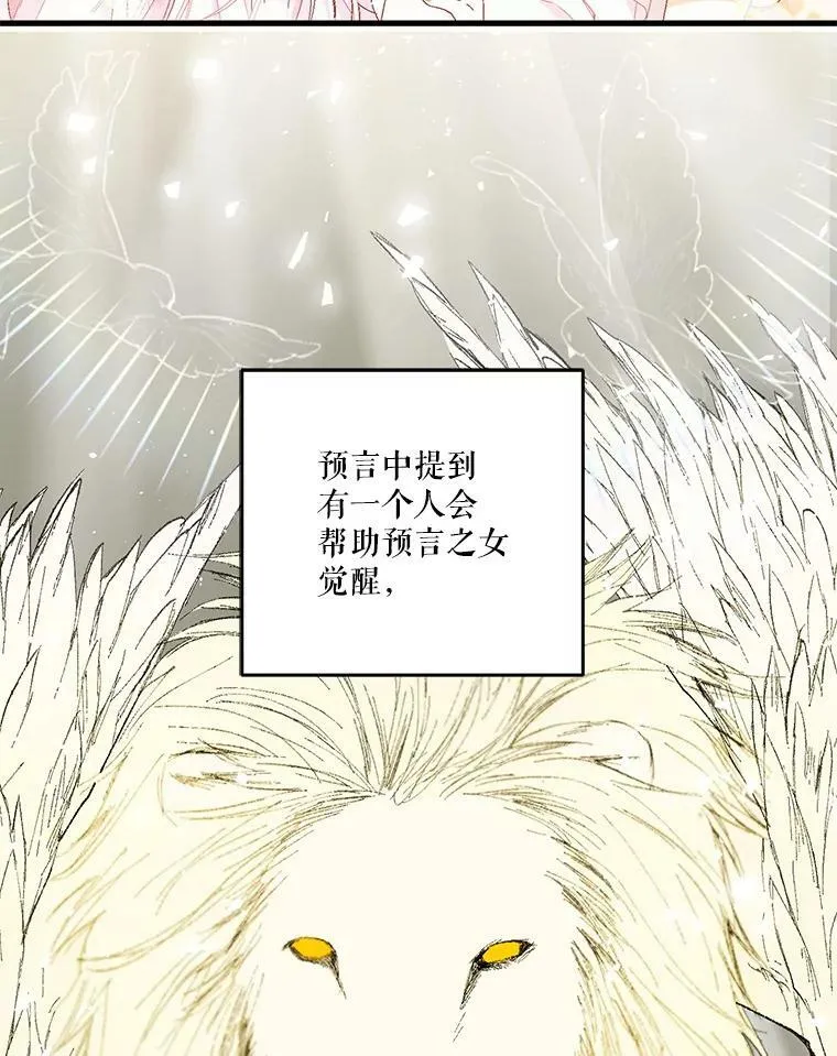 54.风精灵16
