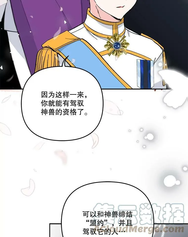 46.操控神兽的条件33