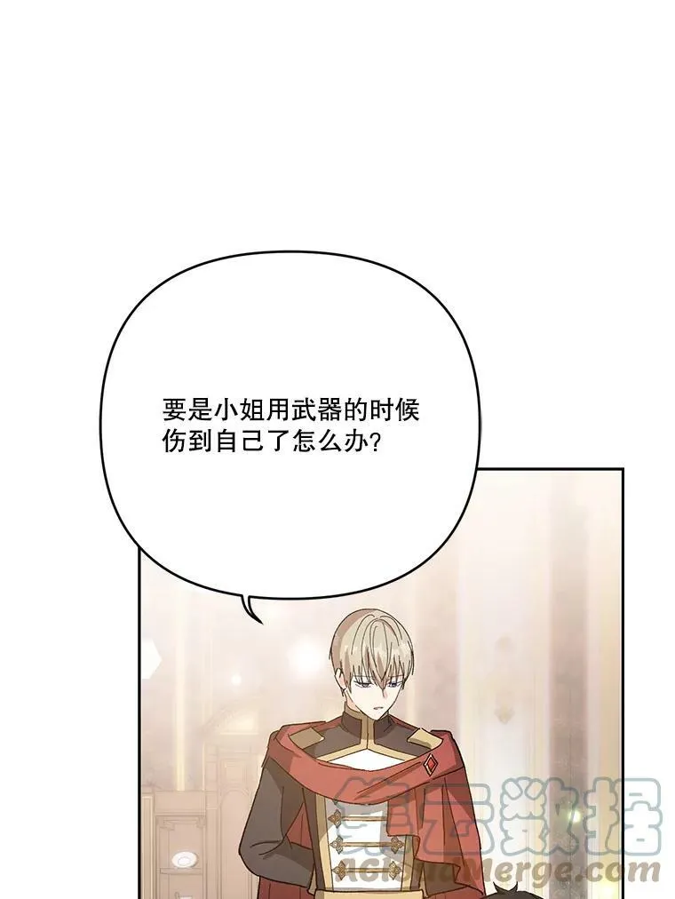 27.试用武器75