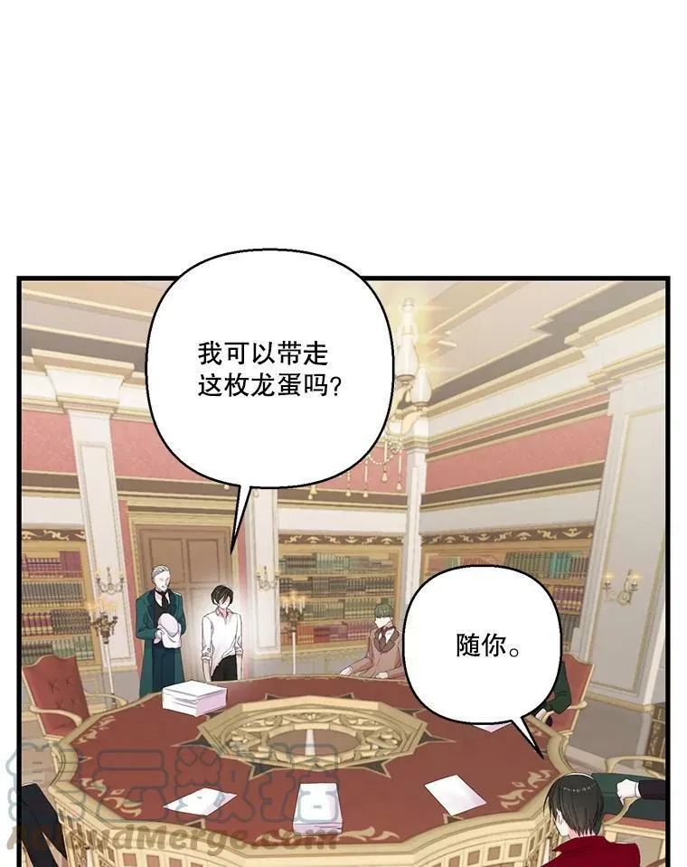 75.雷哈斯归来9