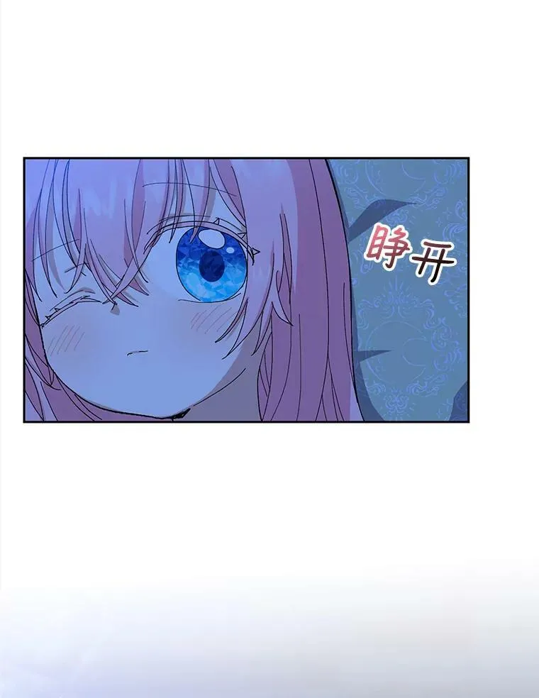 21.无限额预算71