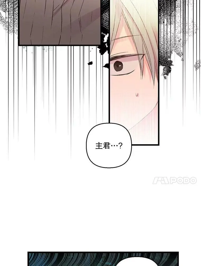 75.雷哈斯归来74