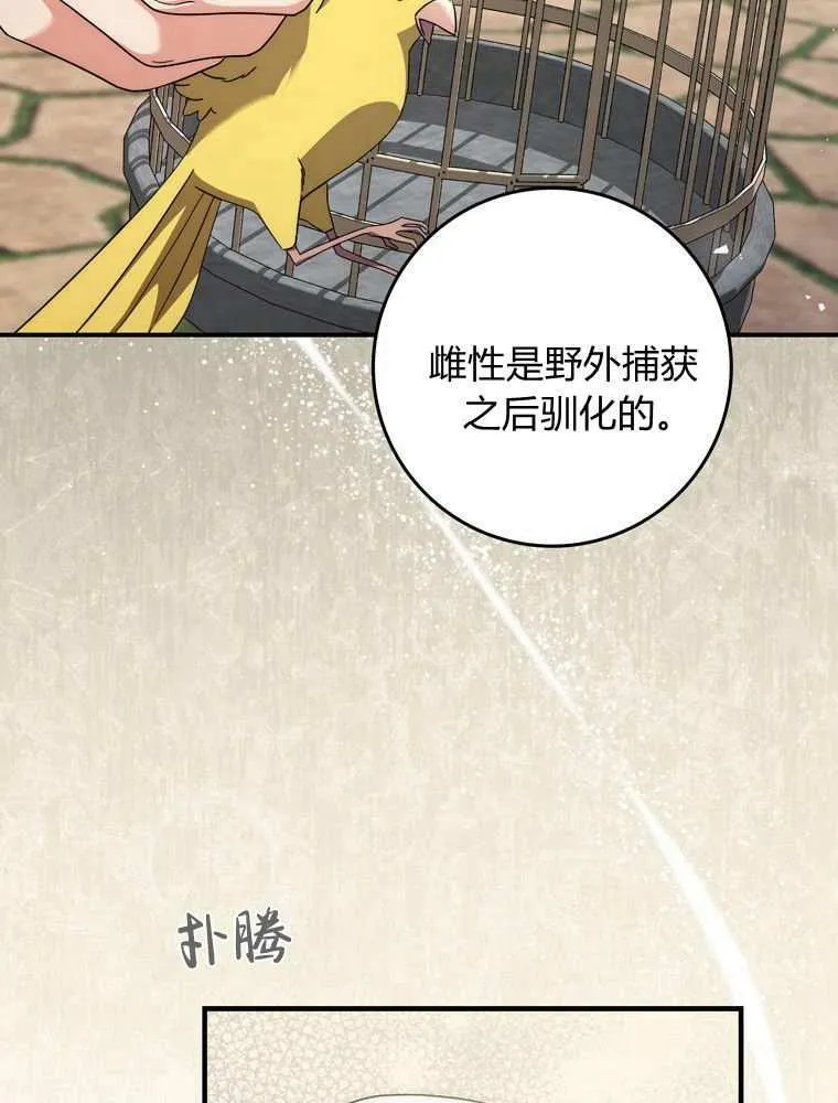 第36话46