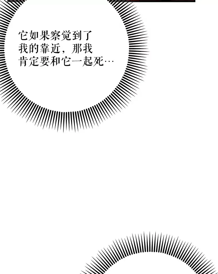 36.天使露易丝？48