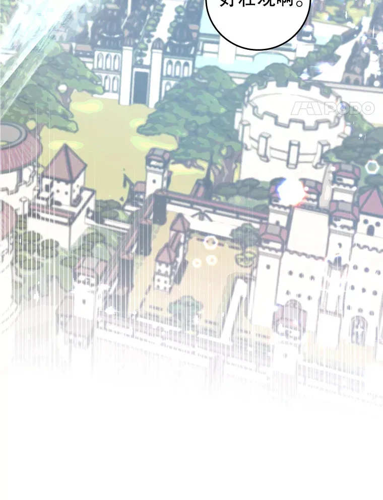 29.不同选择85
