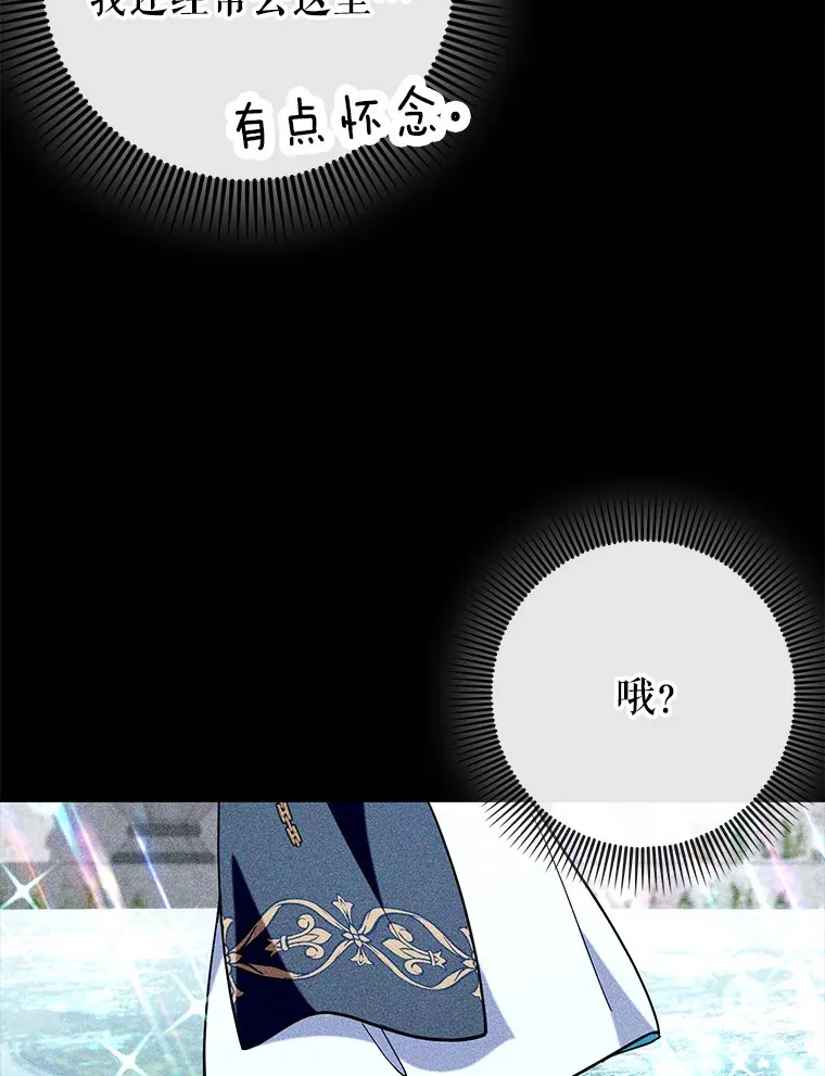 36.天使露易丝？88