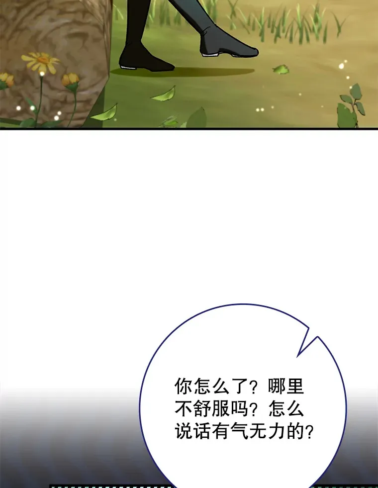 29.不同选择24