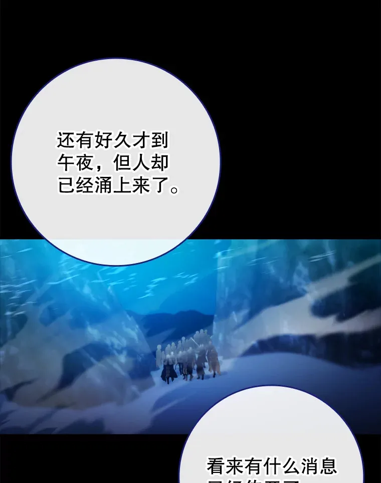 16.争相前来38