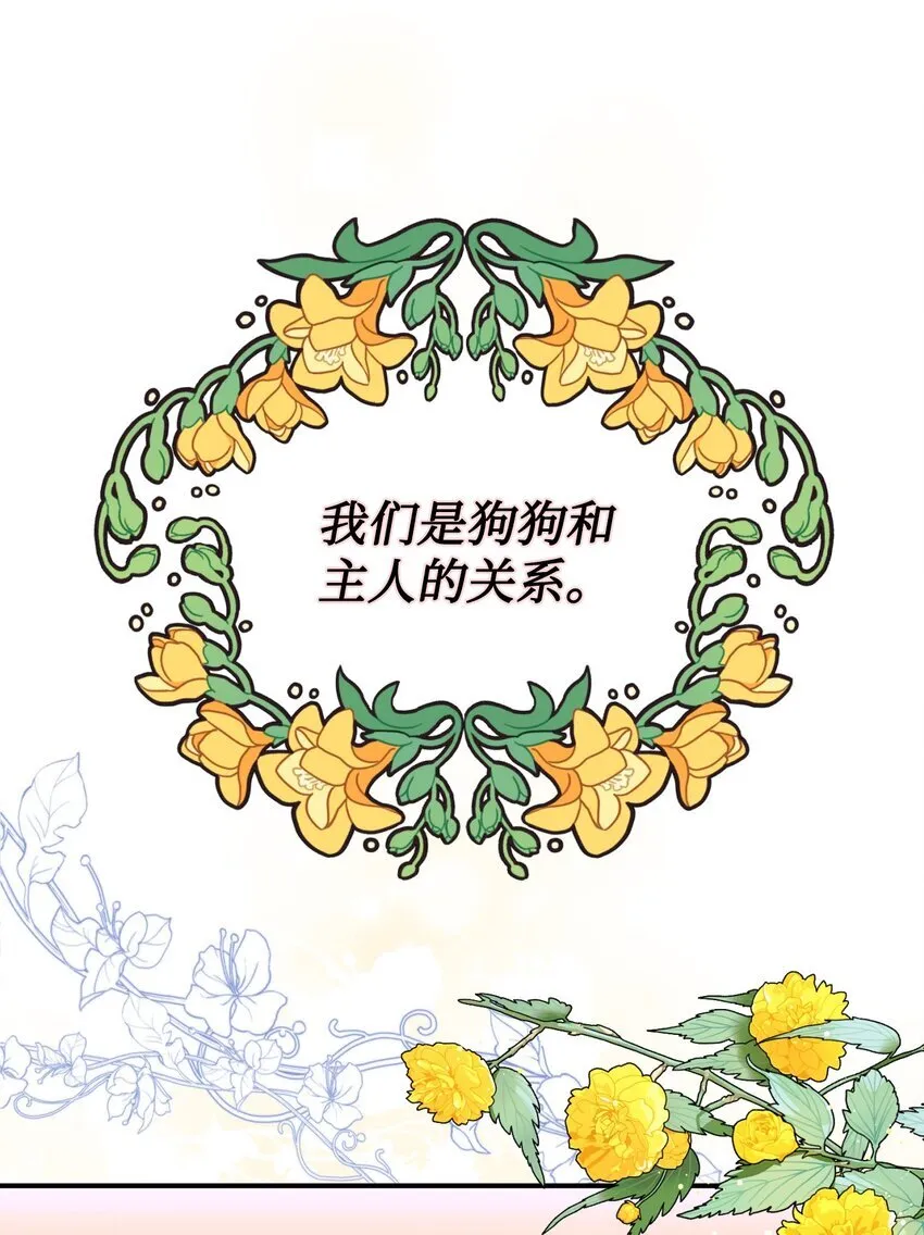 16 主人不会抛弃狗狗的！45