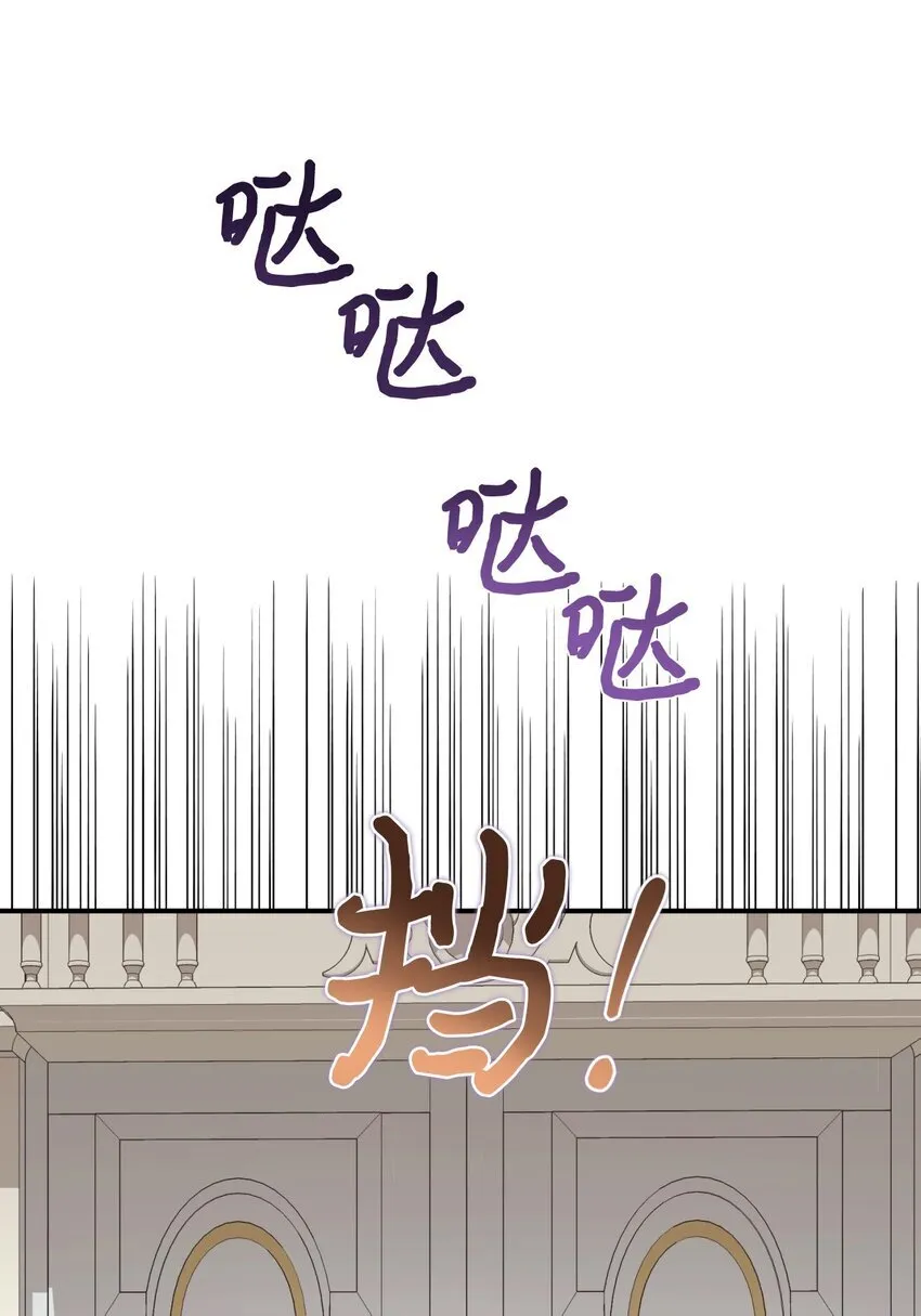 14 宠物福利大放送73
