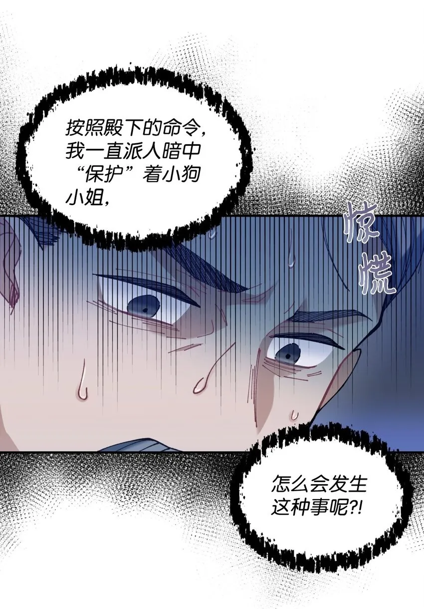 08 小狗小姐失踪了49
