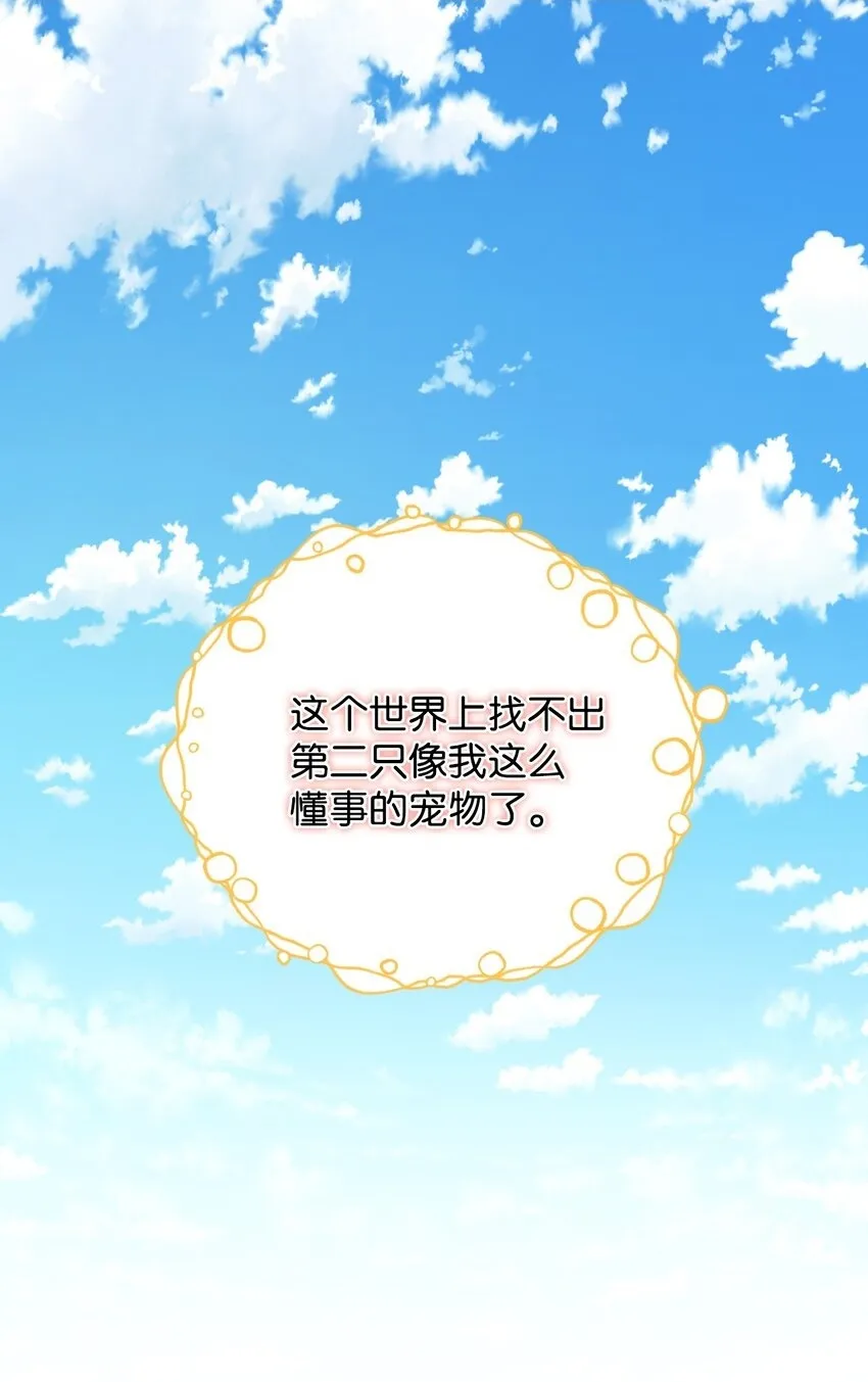 26 求婚？13