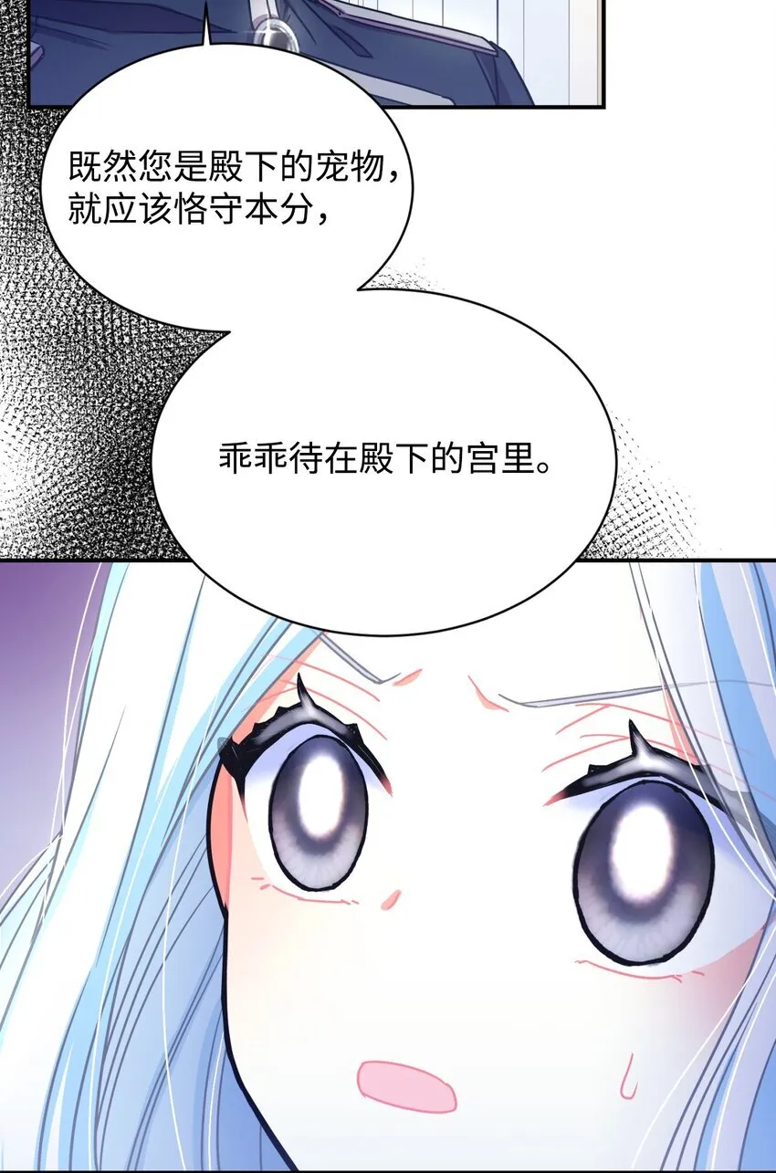 15 竟敢惹我的小猫咪4