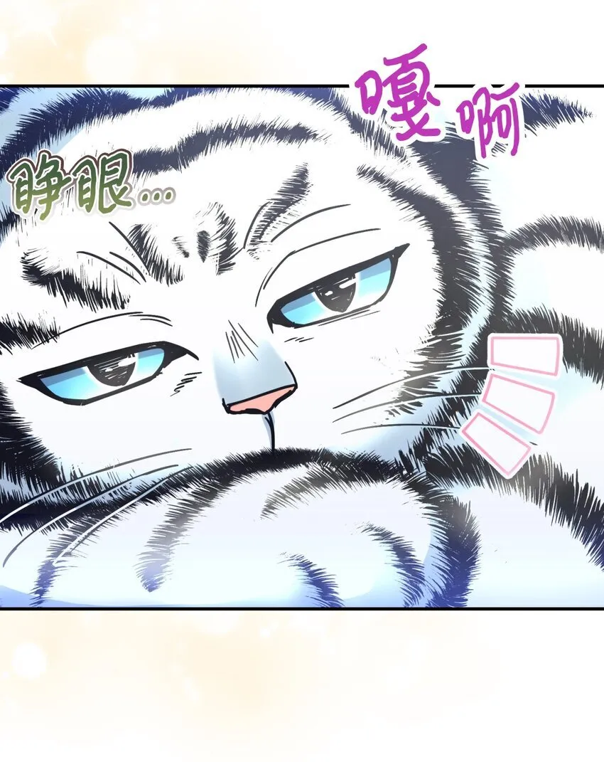 17 我的少女66