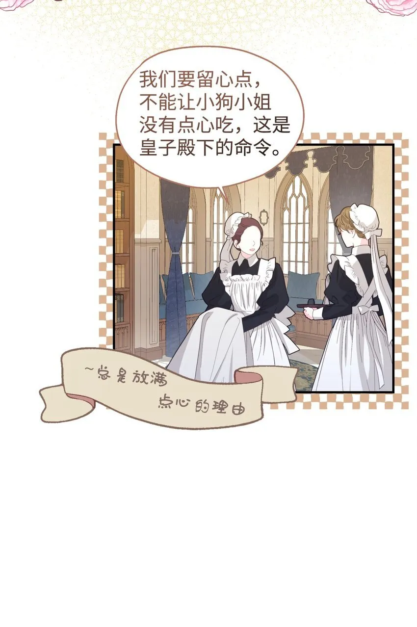 06 小狗狗的探险41