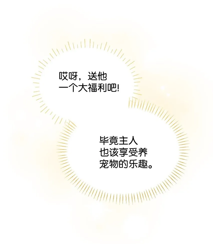 14 宠物福利大放送49