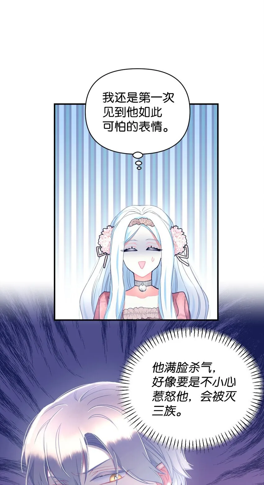 14 宠物福利大放送34