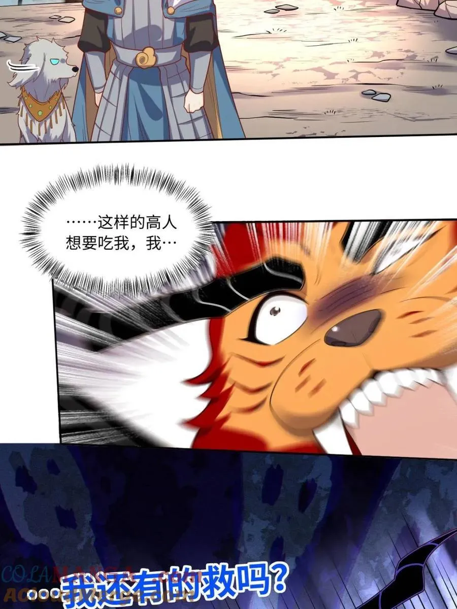第392话 392话33