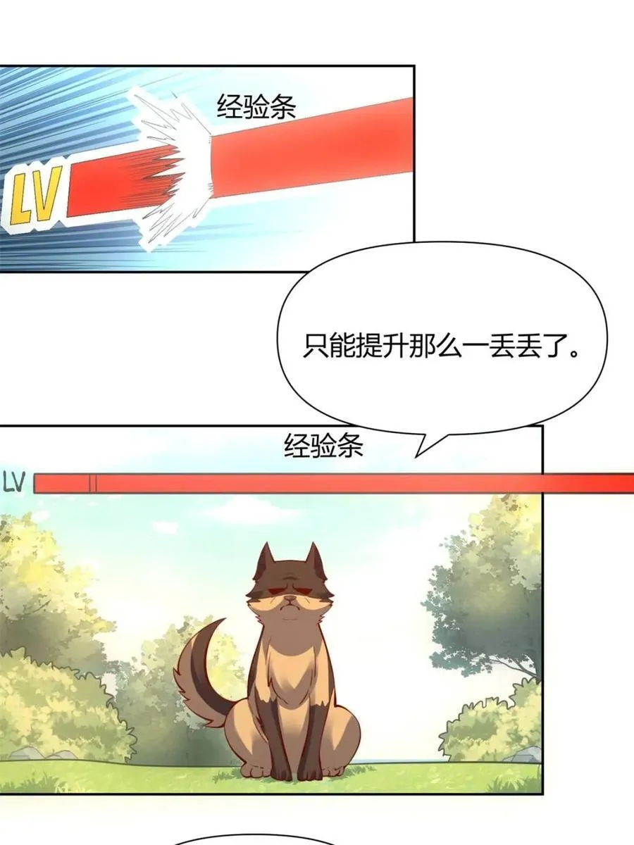 第385话 385话41