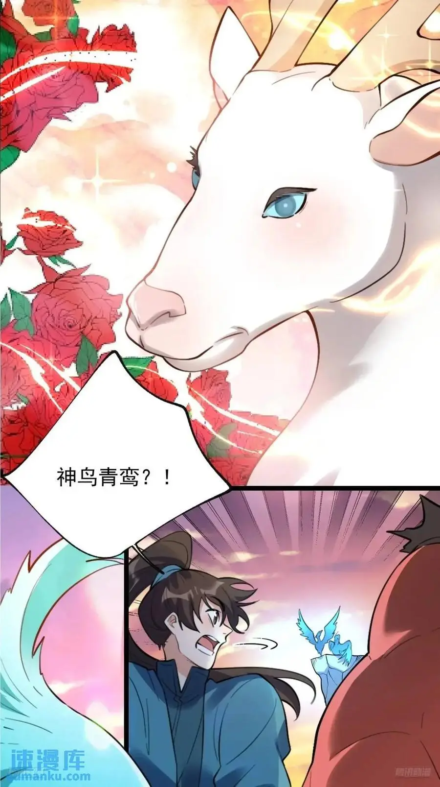 336话5